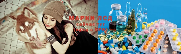 тгк Баксан
