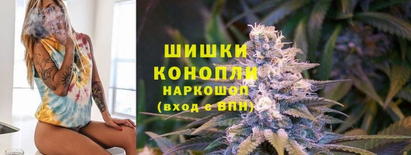 Альфа ПВП Бородино