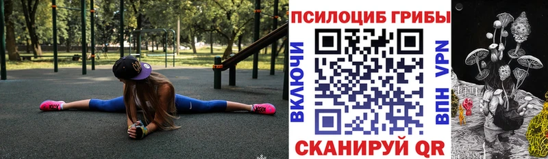 Псилоцибиновые грибы мицелий  shop Telegram  Болохово 